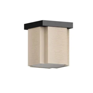 Ceiling Lamp